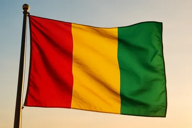How to Bid for World Bank & DFI Energy Contracts in Guinea, Step‑by‑step (2026)