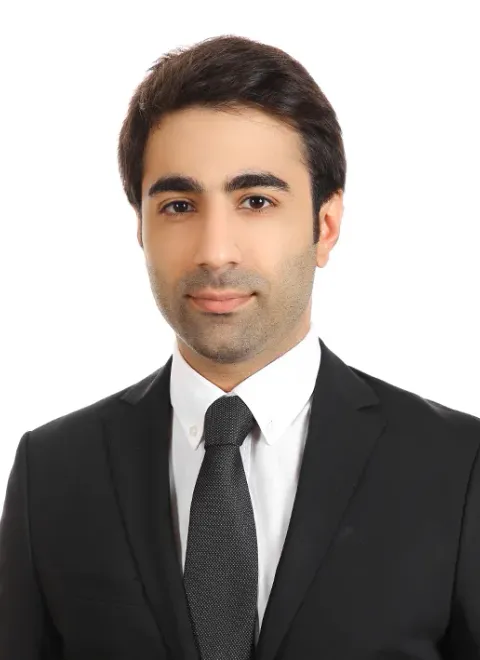 Cem Arda Tepe, lawyer