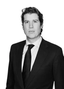 Constant van Tuyll, lawyer