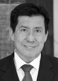 Carlos Pérez de la Sierra, lawyer