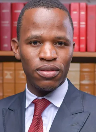 Tatenda Nyamayaro, lawyer