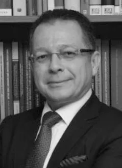 M. Haluk ARI, lawyer