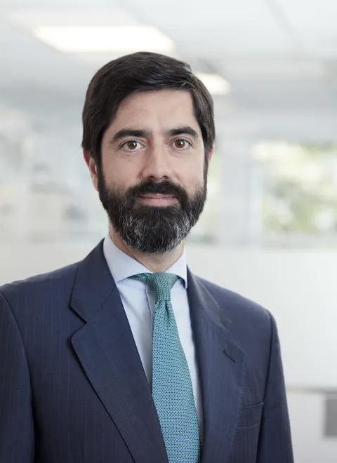 Manuel Gordillo, lawyer