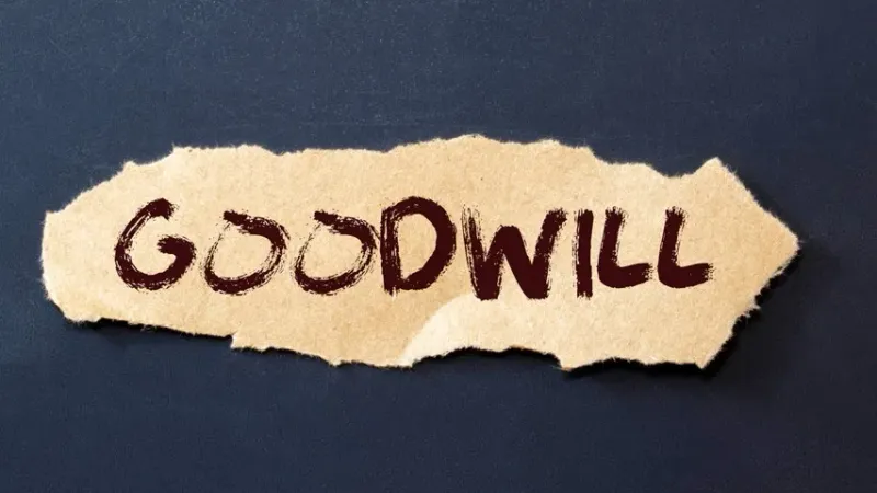 Legal Watch – Vol 1: Court of Appeal Upholds Goodwill as a Quantifiable Business Asset