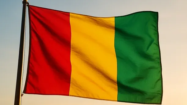 How to Bid for World Bank & DFI Energy Contracts in Guinea, Step‑by‑step (2026)